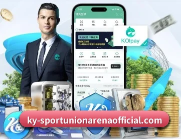 开云平台 APP