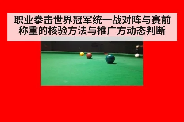 职业拳击世界冠军统一战对阵与赛前称重的核验方法与推广方动态判断