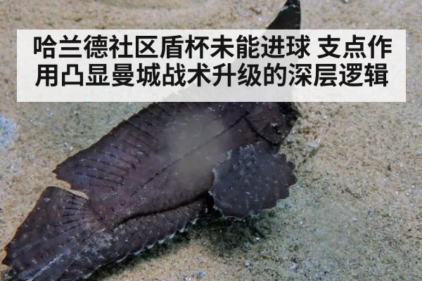哈兰德社区盾杯未能进球 支点作用凸显曼城战术升级的深层逻辑